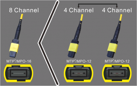 MPO-16 → 2×MPO-12 - MPO-16(8-kênh) sang 2xMPO-12(4-kênh)